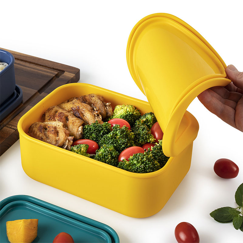مجموعات علبة غداء سيليكون آمن  - مراجعة Food Snacks For Picnic وسعره